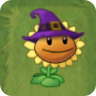 Sunflower (purple witch hat) ^^