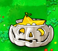 Starfruit in an Imitater Pumpkin