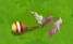 Conga Leader and Conga Dancer's trash (Conga Leader's maraca and a feather from Conga Dancer's feather hats)