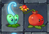 Pomegranate next to Magic Vine in Normal Mode