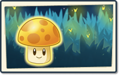 陽光蘑菇