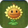 SunflowerBBT.png