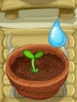 Unused sprout animation being watered