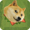 epicdogefruit