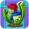Celery Stalker (blue and red boxing headgear)