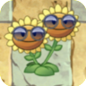Twin Sunflower (blue sunglasses)
