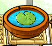 A small Lily Pad in Zen Garden