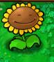 A. Sunflower, our main Anchor