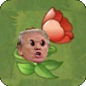 Donald Trump Tulip.png