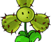 Seed packet image for Blover Cactus (仙人三叶花)