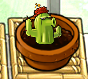 A small Cactus in Zen Garden