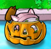 Cattail in a Pumpkin