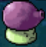 Another Fume-shroom in the DS version