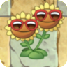 Twin Sunflower (red sunglasses)