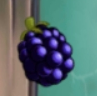 Blastberry Vines do 15 damage