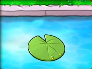 Lily-Pad.png