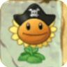 Sunflower (pirate hat)