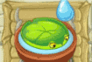 Lily Pad being watered in the Zen Garden (animated)