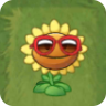 Sunflower (red sunglasses)