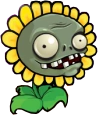 HD Sunflower Imp