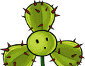Seed packet image for Cactus Blover (仙人三叶草)