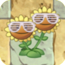 Twin Sunflower (white lined sunglasses)