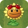 Sunflower wearing Solar Flare's Goggles