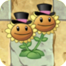 Twin Sunflower (top hats with pink stripes)