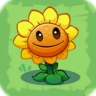 Sunflower3.png