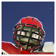Safe Cage Icon.png