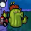 Cactus in the Nintendo DS version