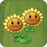 Twin SunflowerAS.png