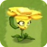Buttercup3.png