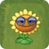 Sunflower (sunglasses)