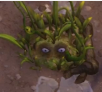 A view of Spikeweed, revealing its eyes