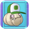 Garlic (green and white baseball cap)