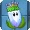 Magnifying Grass (silver crown)