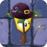Plantern (wizard's hat)