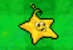 Starfruit in the Nintendo DS version