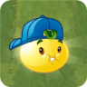 Solar Tomato (blue snapback cap)