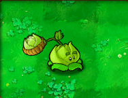 Cabbage-pult-1.gif