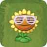 Sunflower (white lined sunglasses)