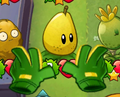 Gardening Gloves being played on Pair of Pears