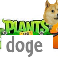 thepvzdoge