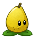 HD Pair of Pears