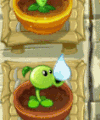 PVZIAT Peashooter Watered.gif