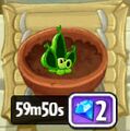 The button to use gems to speed up the plant