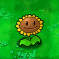 SunflowerBox.png