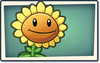 Sunflower Newer Seed Packet.png