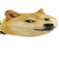 dat doges who destruys